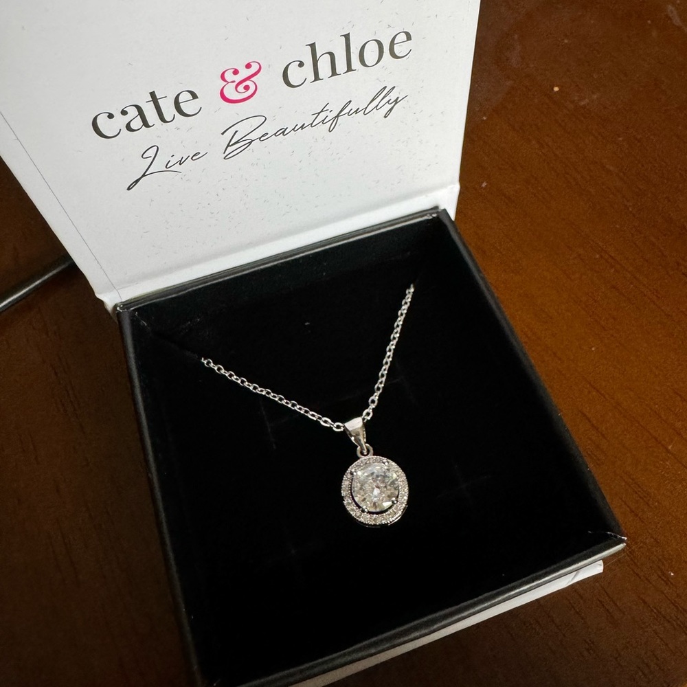 Cate & Chloe -Blake 18k white gold plated halo pendant necklace with CZ crystals